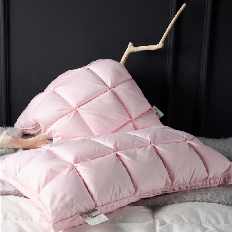 Natural Goose Down Rectangle Shaped Pillow for Sleeping 2 pcs Set