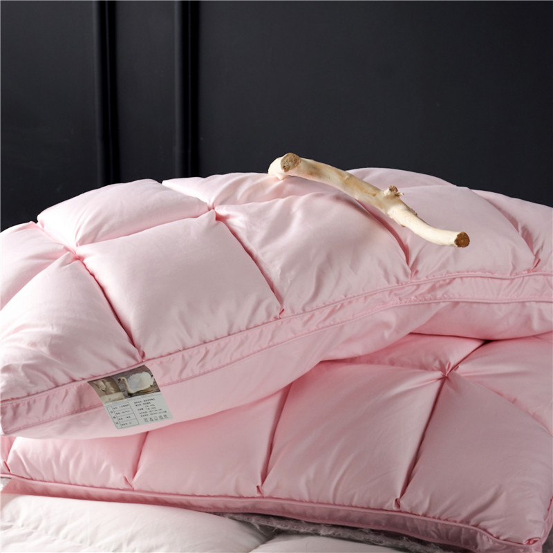 Natural Goose Down Rectangle Shaped Pillow for Sleeping 2 pcs Set