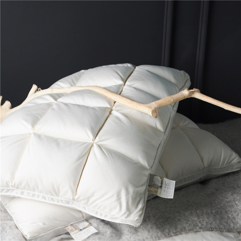 Natural Goose Down Rectangle Shaped Pillow for Sleeping 2 pcs Set