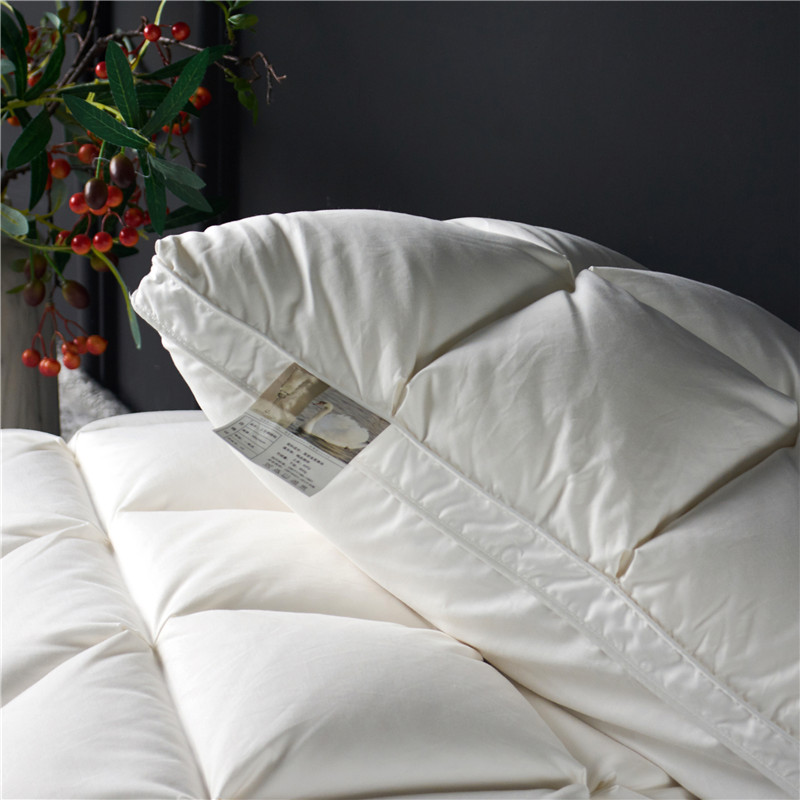 Natural Goose Down Rectangle Shaped Pillow for Sleeping 2 pcs Set