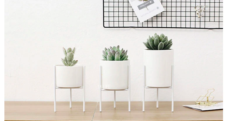 Nordic Style Ceramic Plants Vase Nordic Style Ceramic Plants Vase